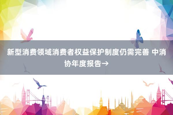 新型消费领域消费者权益保护制度仍需完善 中消协年度报告→