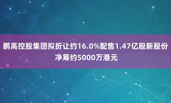 鹏高控股集团拟折让约16.0%配售1.47亿股新股份 净筹约5000万港元