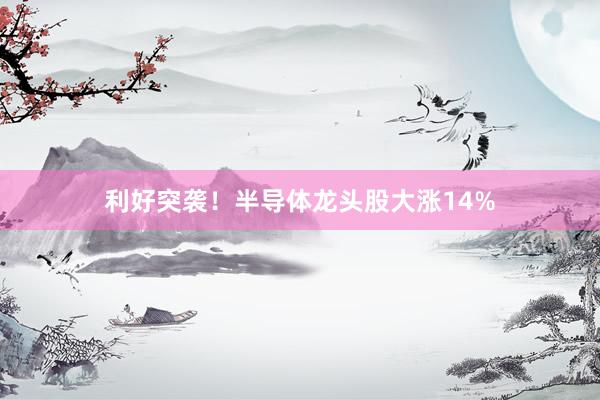 利好突袭！半导体龙头股大涨14%