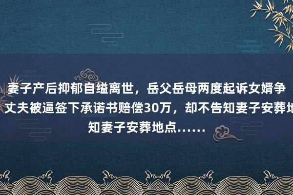 妻子产后抑郁自缢离世，岳父岳母两度起诉女婿争夺财产！丈夫被逼签下承诺书赔偿30万，却不告知妻子安葬地点……