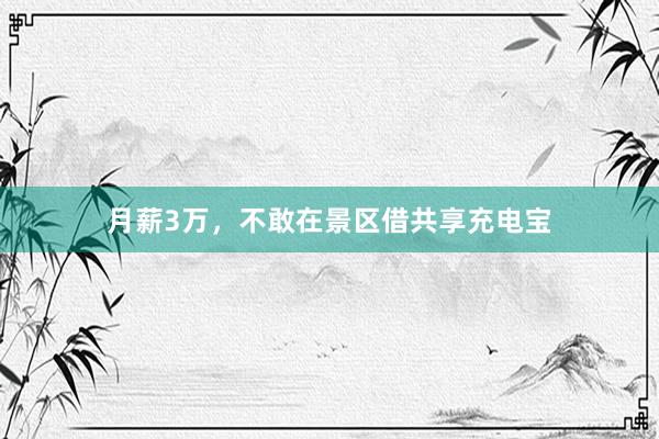 月薪3万，不敢在景区借共享充电宝