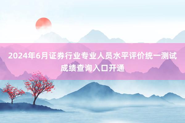 2024年6月证券行业专业人员水平评价统一测试成绩查询入口开通