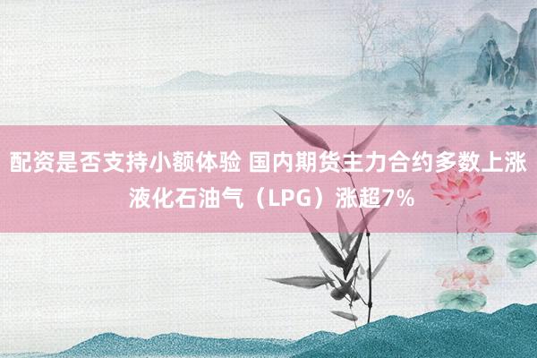 配资是否支持小额体验 国内期货主力合约多数上涨 液化石油气（LPG）涨超7%