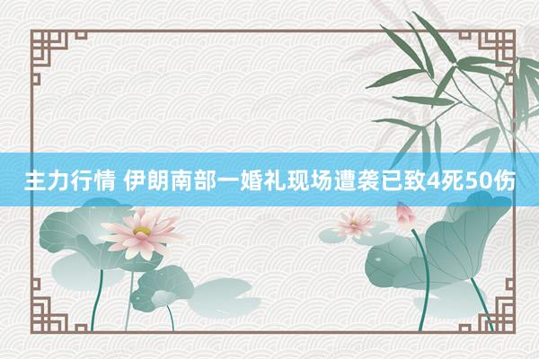 主力行情 伊朗南部一婚礼现场遭袭已致4死50伤