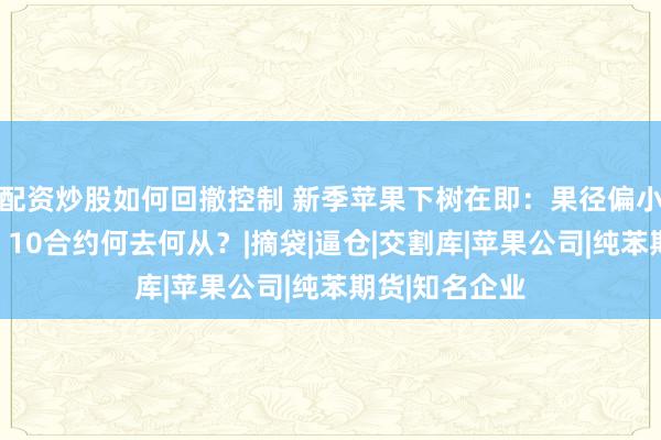 配资炒股如何回撤控制 新季苹果下树在即：果径偏小、交割生变，10合约何去何从？|摘袋|逼仓|交割库|苹果公司|纯苯期货|知名企业