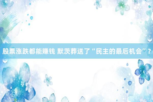 股票涨跌都能赚钱 默茨葬送了“民主的最后机会”？