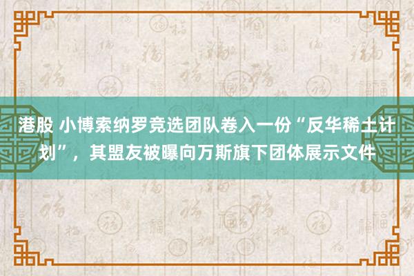 港股 小博索纳罗竞选团队卷入一份“反华稀土计划”，其盟友被曝向万斯旗下团体展示文件